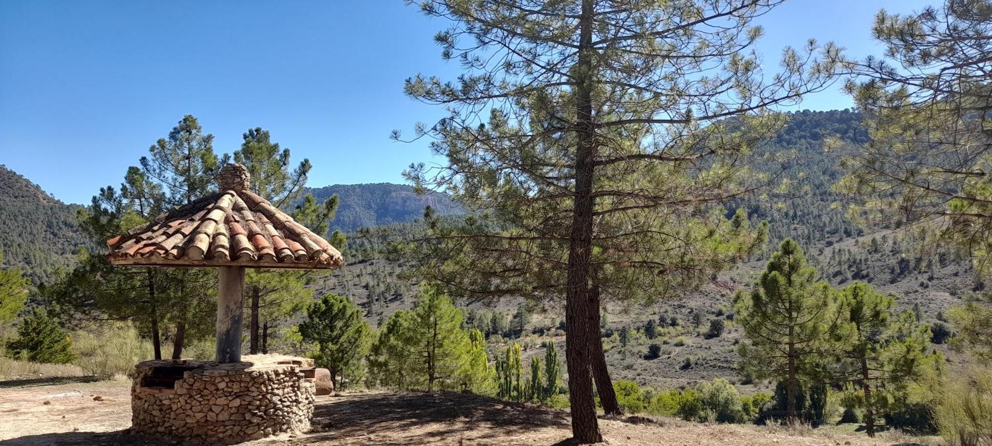 Bed & Breakfast Almenara