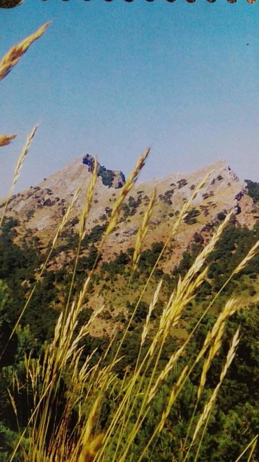 Almenara 2*